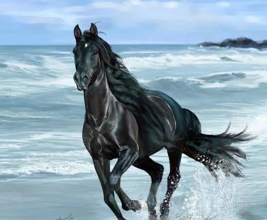 好风凭借力送我上青云电影,好风凭借力送我上青云作者