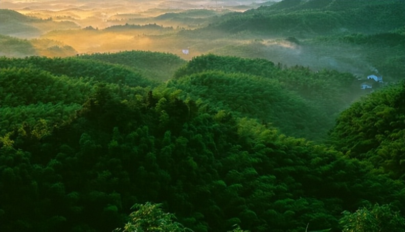 林海山水画作品欣赏,国内十大竹海排名