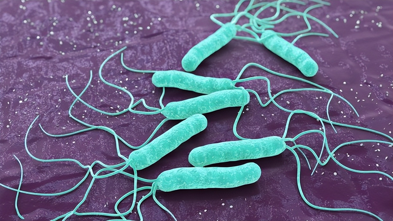 血清幽门螺杆菌抗体阳性用治疗吗,检查出幽门螺杆菌必须吃药治疗吗