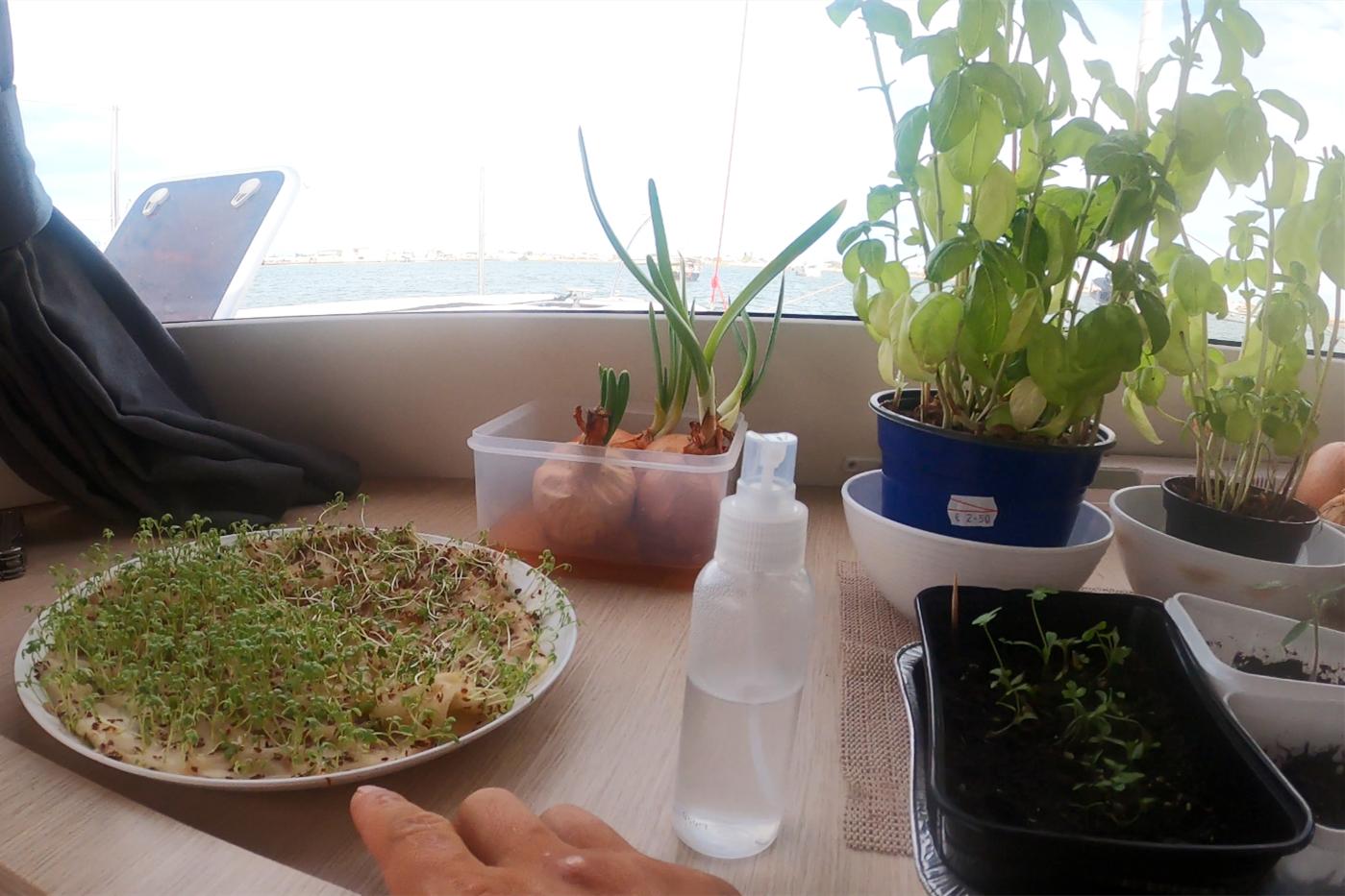 中国小伙的航海日记,中国小伙的航海日记十六