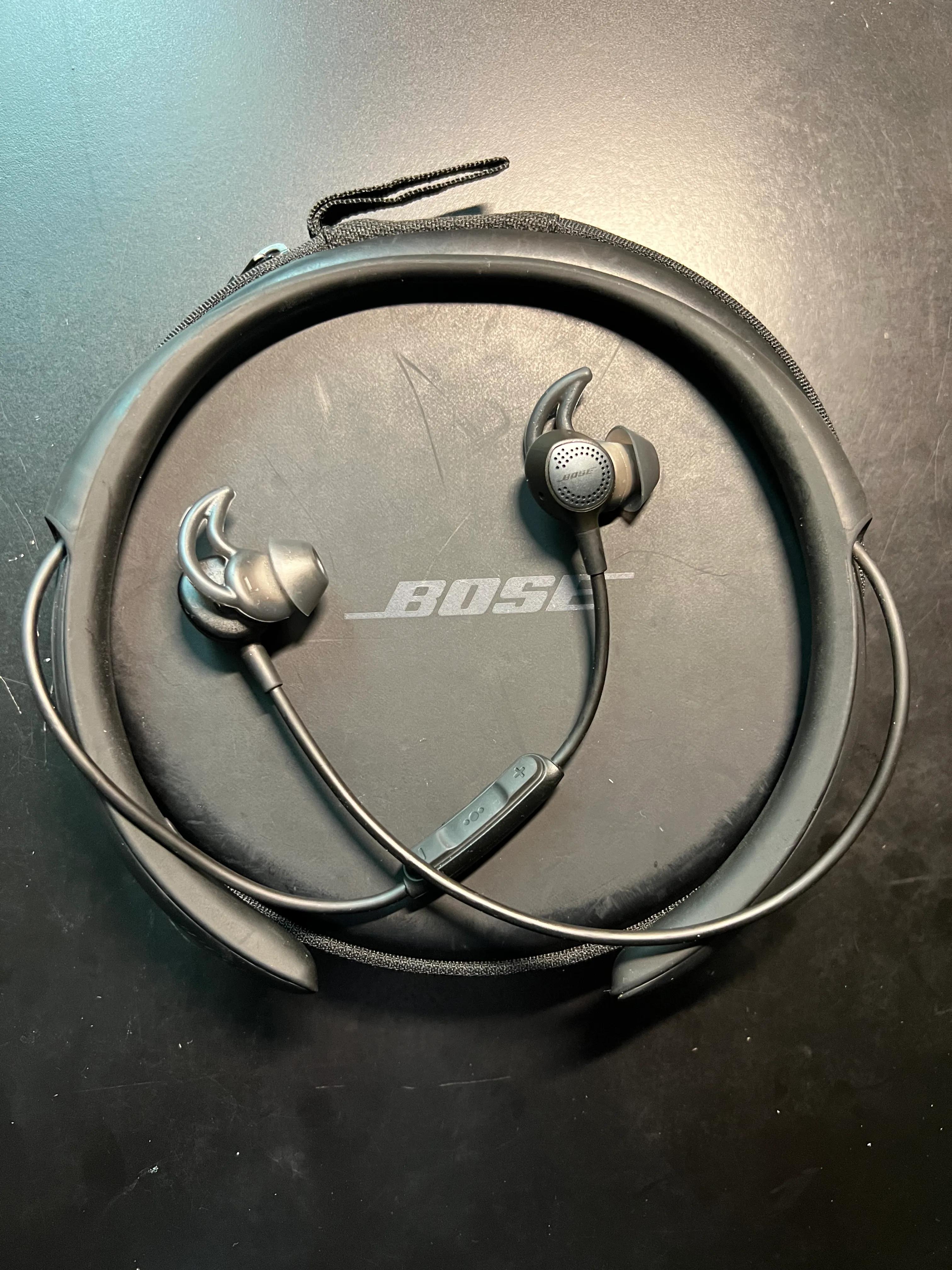 狗狗哪些便宜又好用的好物,狗狗夏天好物推荐