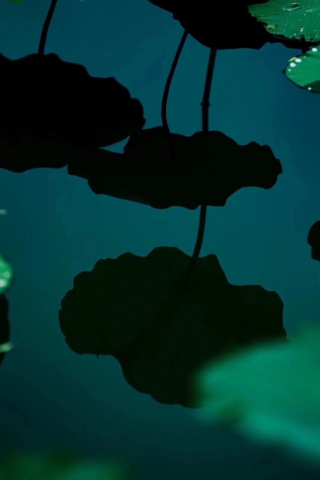 平生所愿不过烟火素淡守心自暖,烟火素淡守心自暖