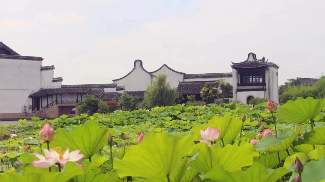 上海露营卡丁车哪里好玩,魔都自驾露营怎么玩