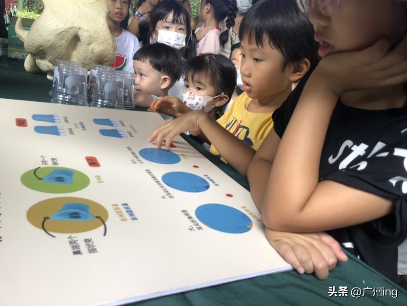 世界大象日了解亚洲象大种群,大象培育巨象