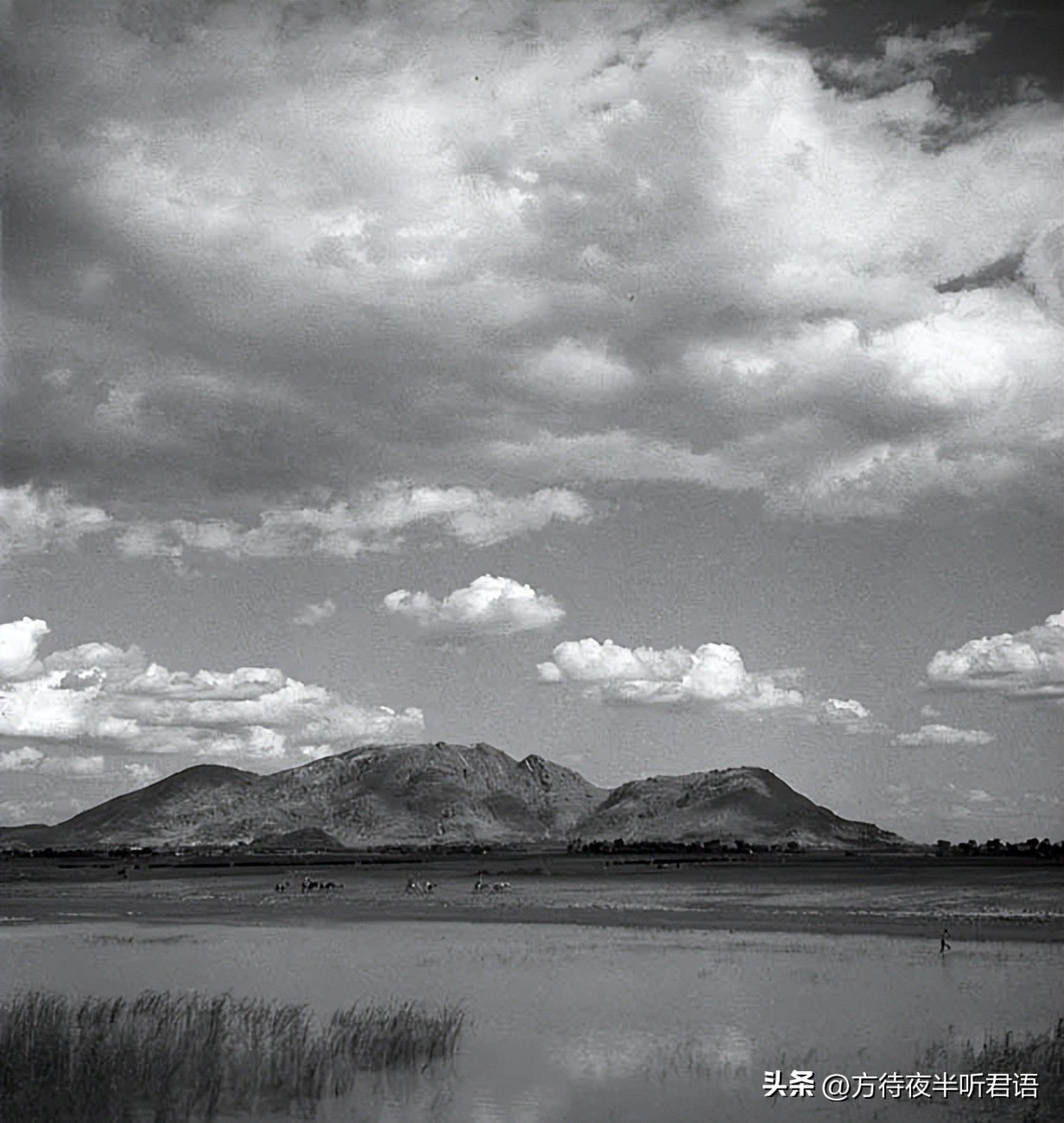 殊异之城：金石声穿过岁月的青岛留影