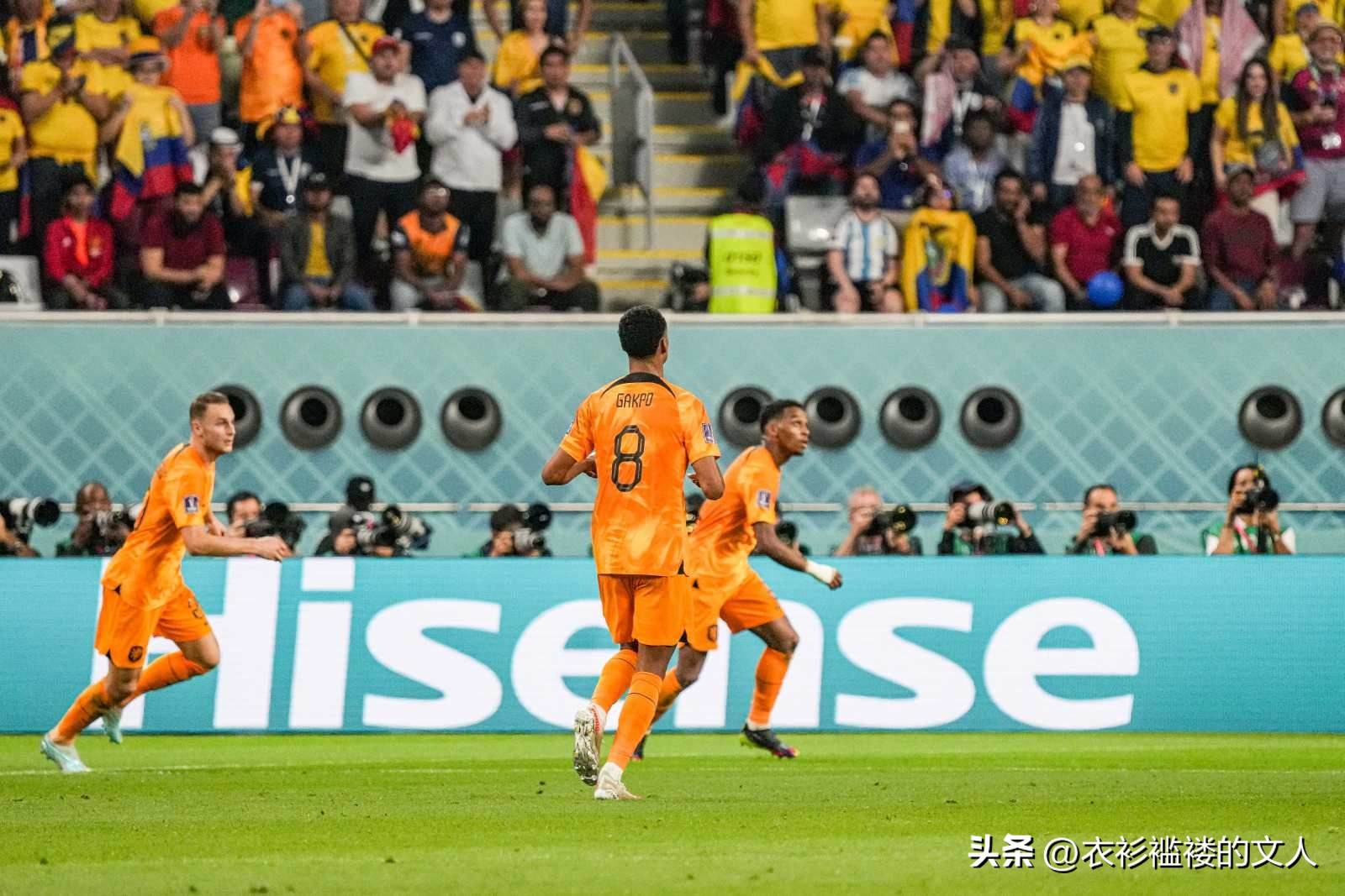荷兰1比1厄瓜多尔卡塔提前出局,2022卡塔尔世界杯厄瓜多尔vs荷兰