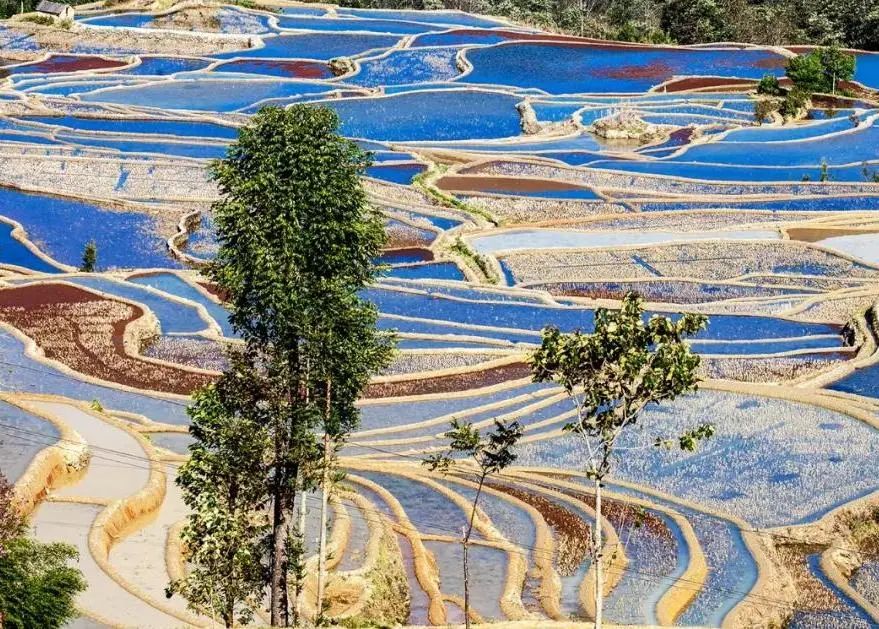 川西云南深度自驾游最佳攻略,滇东南西南大环线旅游