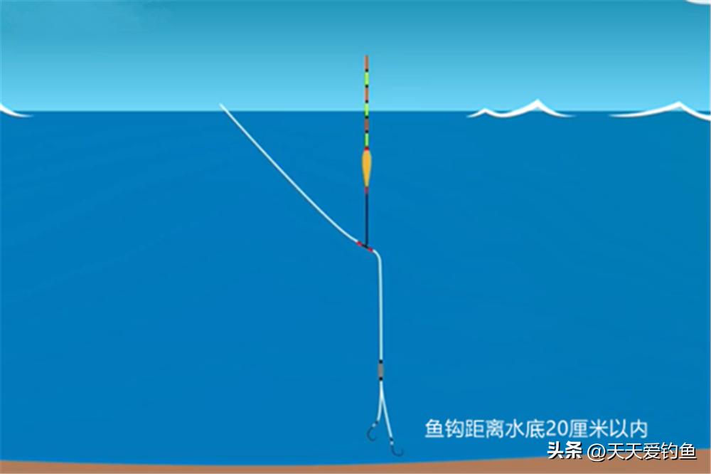 野钓粗目调漂最佳方法,钓锚鱼没见漂动提竿中鱼什么原因