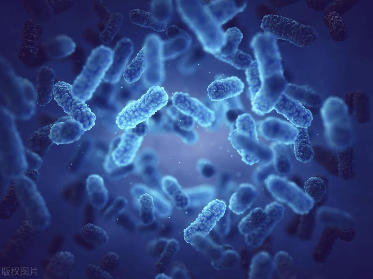 嘴里有尿骚臭怎样改善,口里有尿骚味口水臭怎么回事