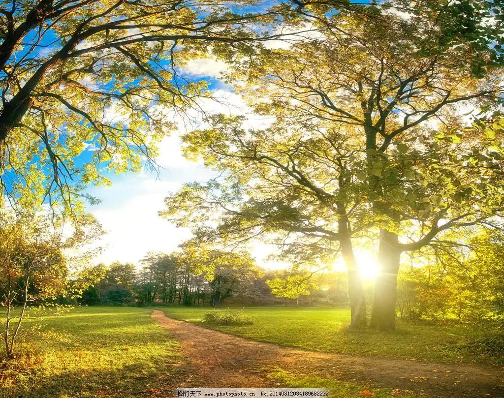 献爱心战胜病魔,为了爱战胜病魔