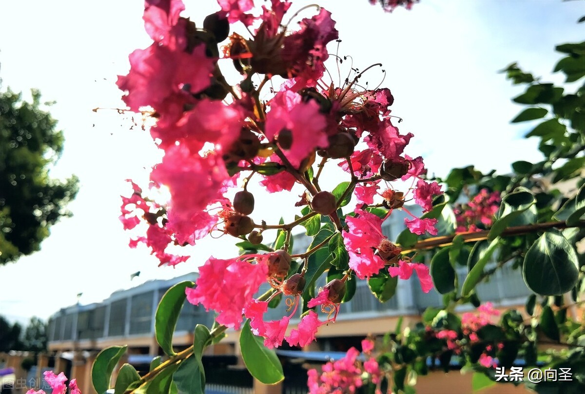 走向财富的最好方法,如何看淡财富