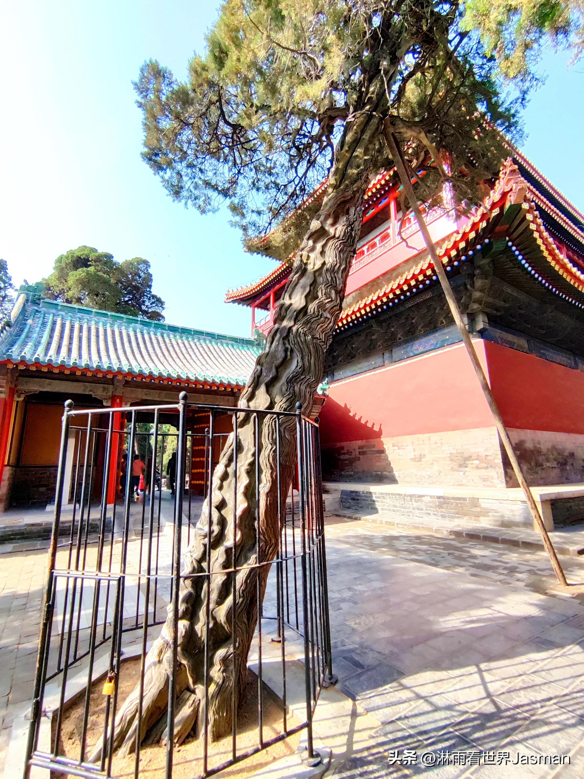 游山东曲阜孔庙，跨越时空，赴一场千年之约