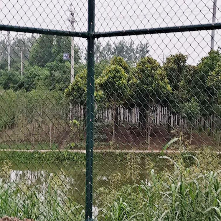 尚雷球场护栏,护栏围栏尚伦防护网