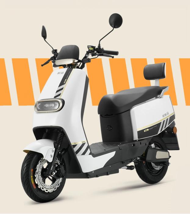 进阶突破后的优狐，砥砺奋进再出发