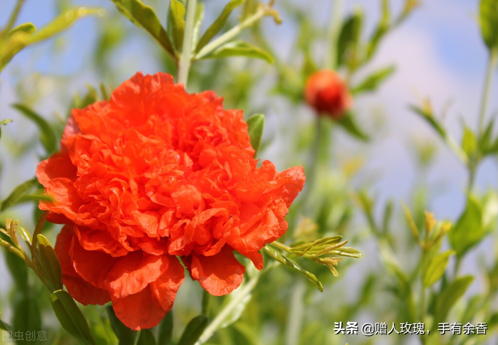 历史上的今天5月4日,康熙诞生了,北京大学来了,五四运动爆发了