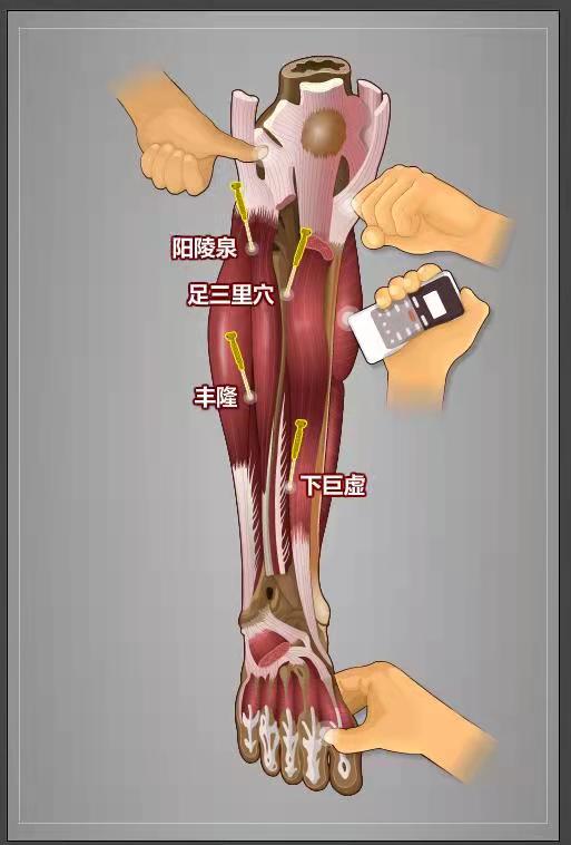 深筋膜按摩法（连载13）