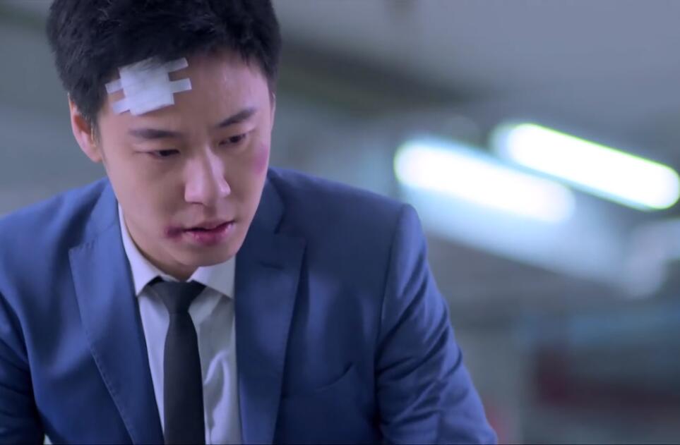 青鸟飞鱼现状,青鸟飞鱼解散