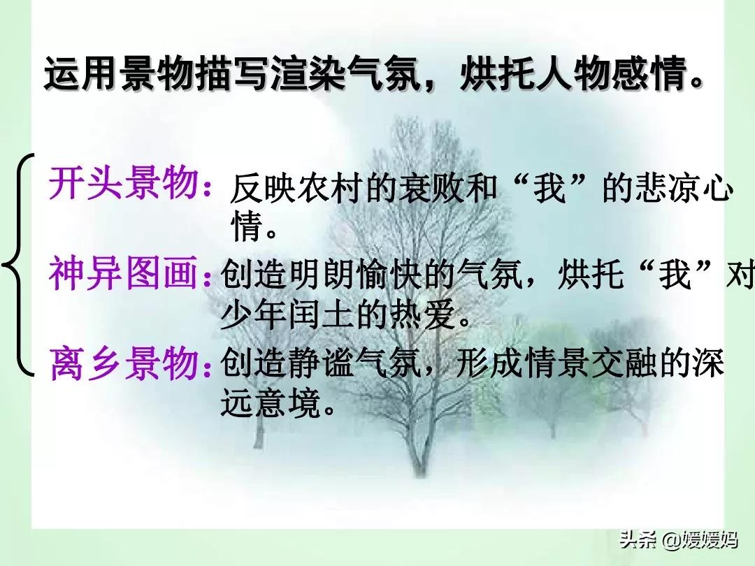 九年级上册语文第15课故乡预习,语文书人教版九上故乡ppt