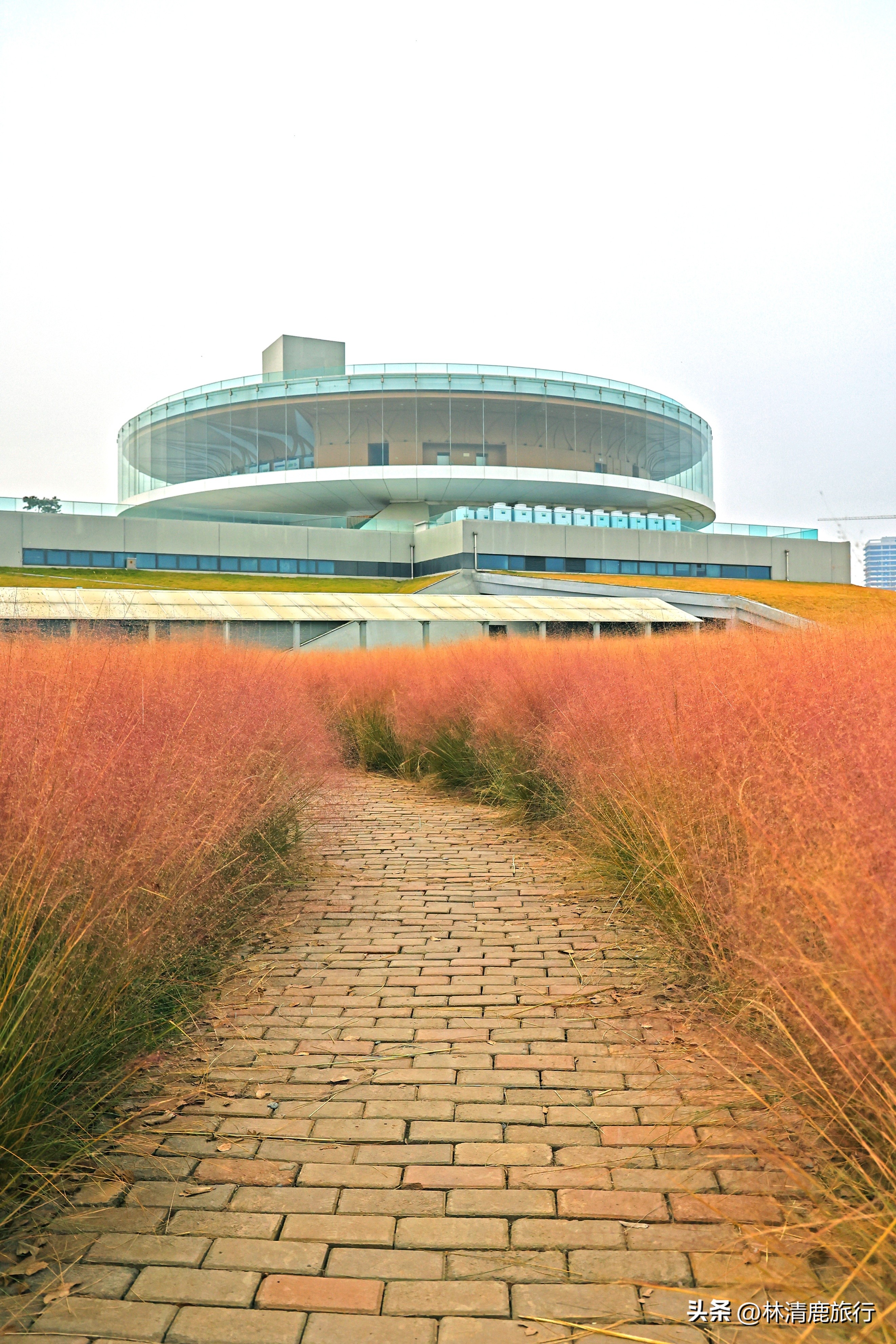郑州最美的赏秋景点,赏秋好去处河南醉氧之地