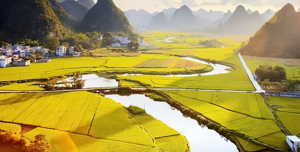 最新农村种田类小说,乡村乡土类种田文小说推荐