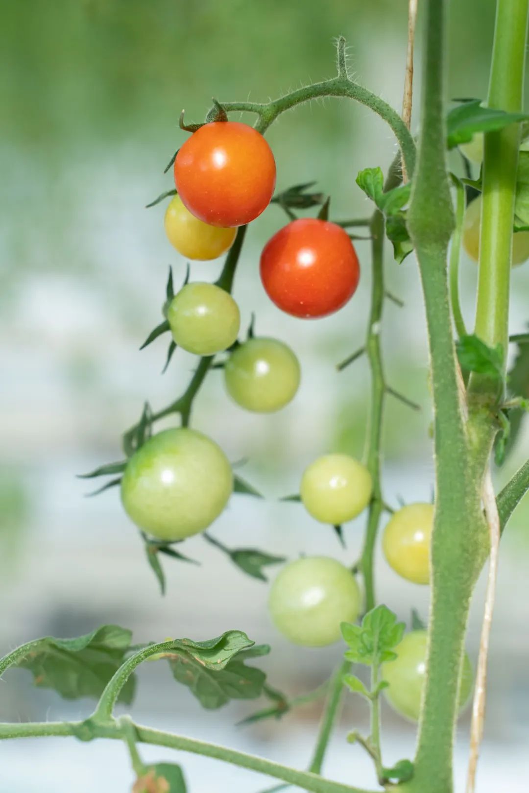 秋意渐浓，收藏十月咸宁的专属香气……