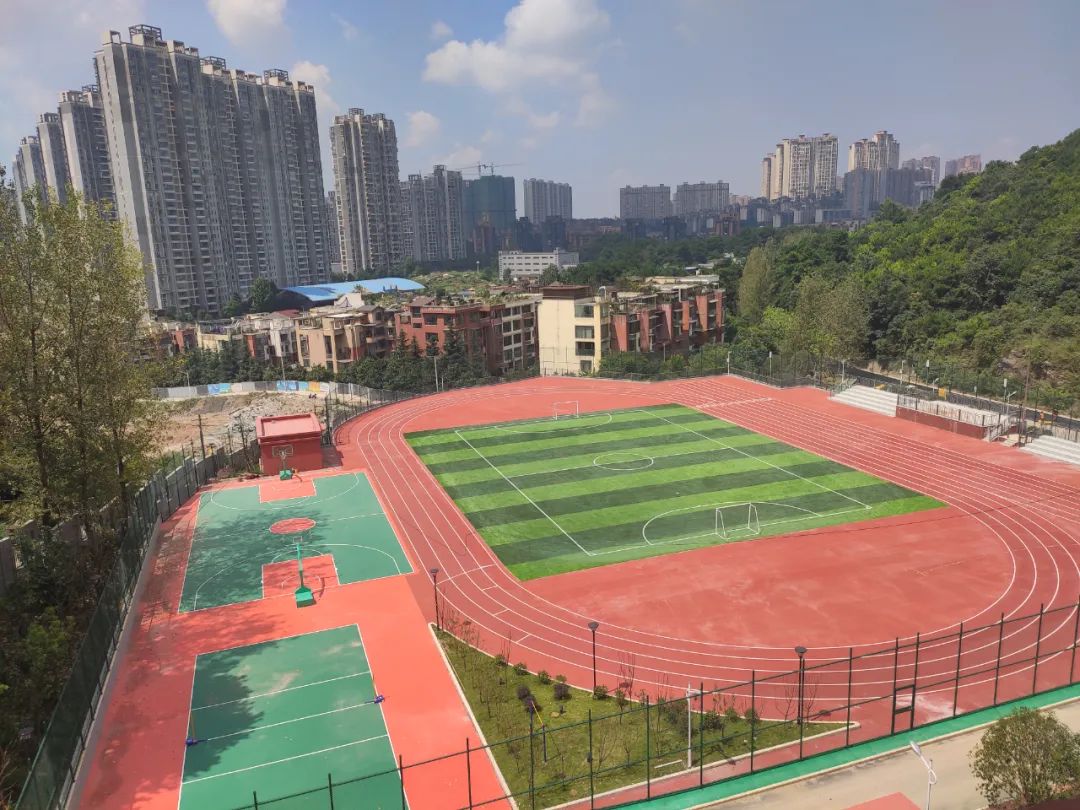 人造草案例|贵州景怡苑东区中小学