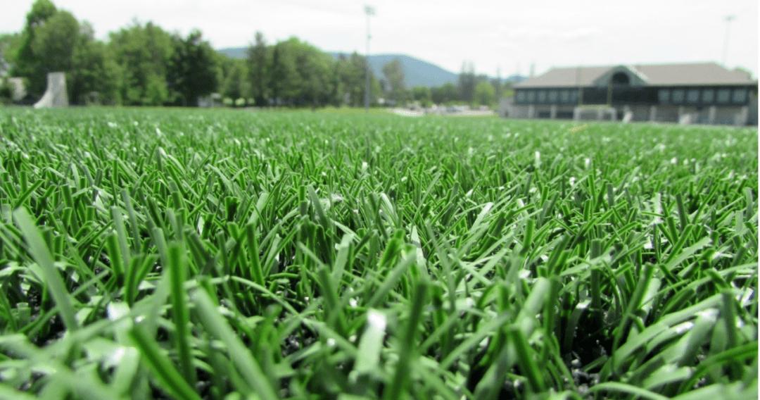 草坪养护撒石灰还是先播种,草坪养护是否复杂