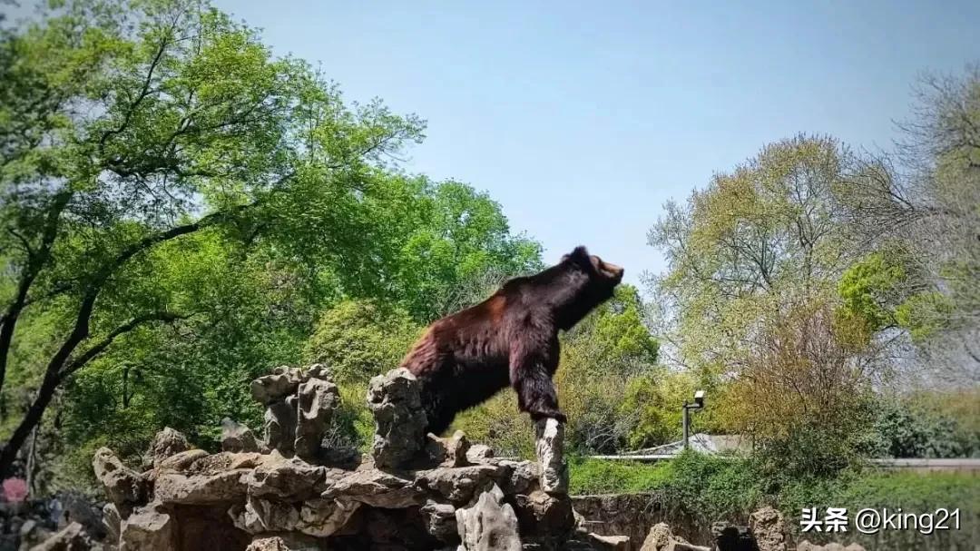 上海著名景点地铁站,上海地铁站景点介绍