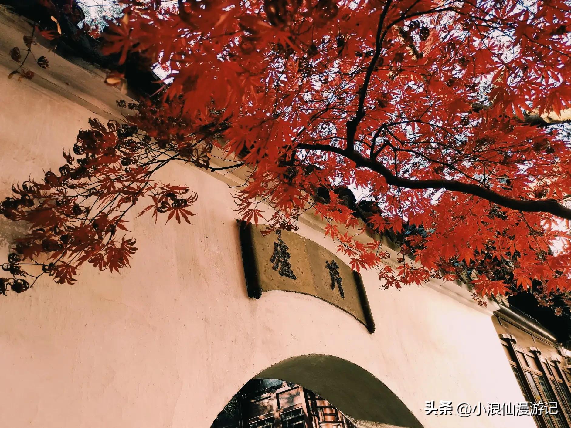 苏州天平山赏枫品茶的句子,苏州赏枫除了天平山还有哪