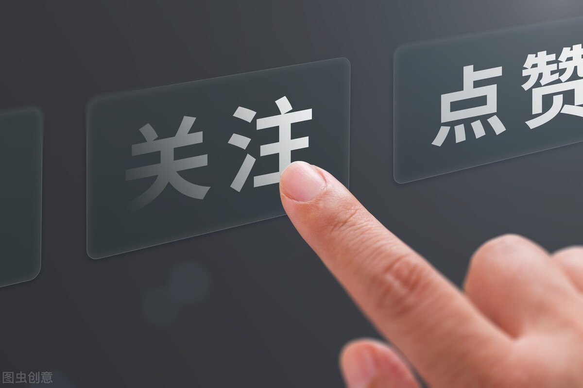 上班的人适合养什么宠物狗,上班适合养什么宠物