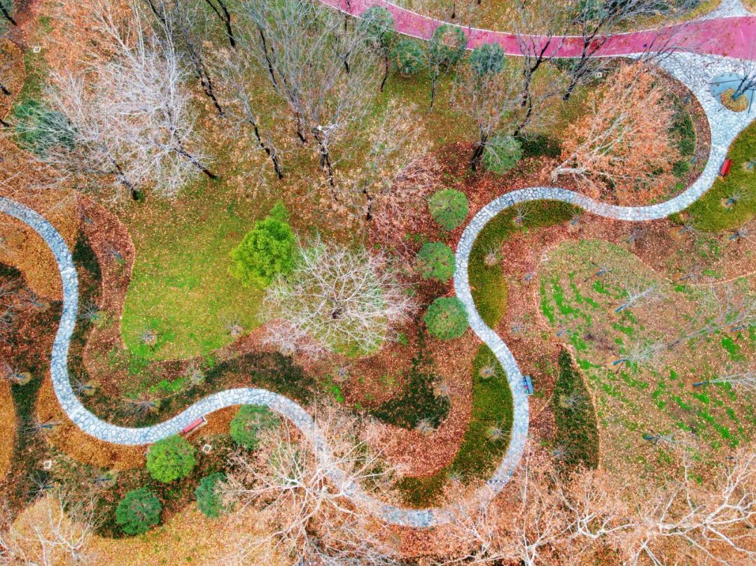 武汉重新翻新的公园叫什么,武汉新城区最大的公园