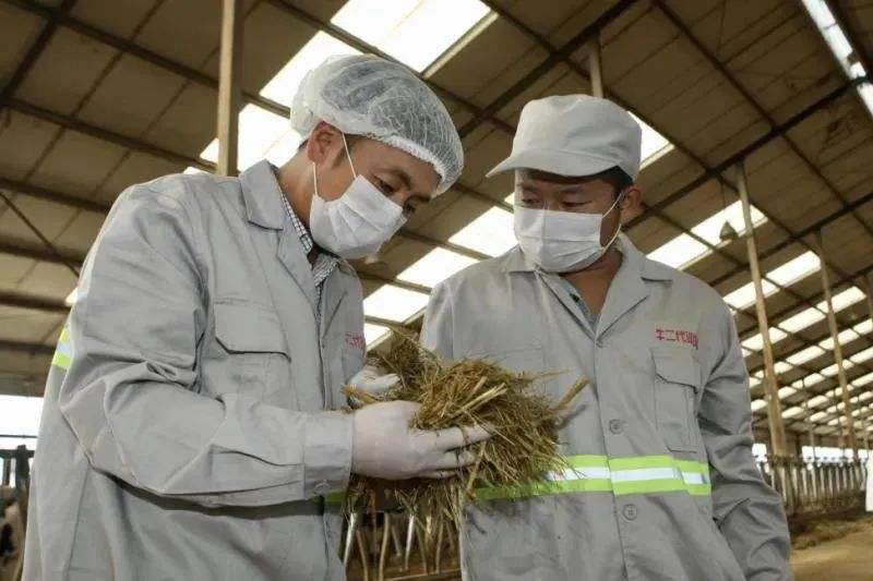 铭记关怀感恩奋进——牢记总书记嘱托交出首府亮丽答卷