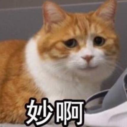 世界杯决赛在即，来点足球发疯文学？