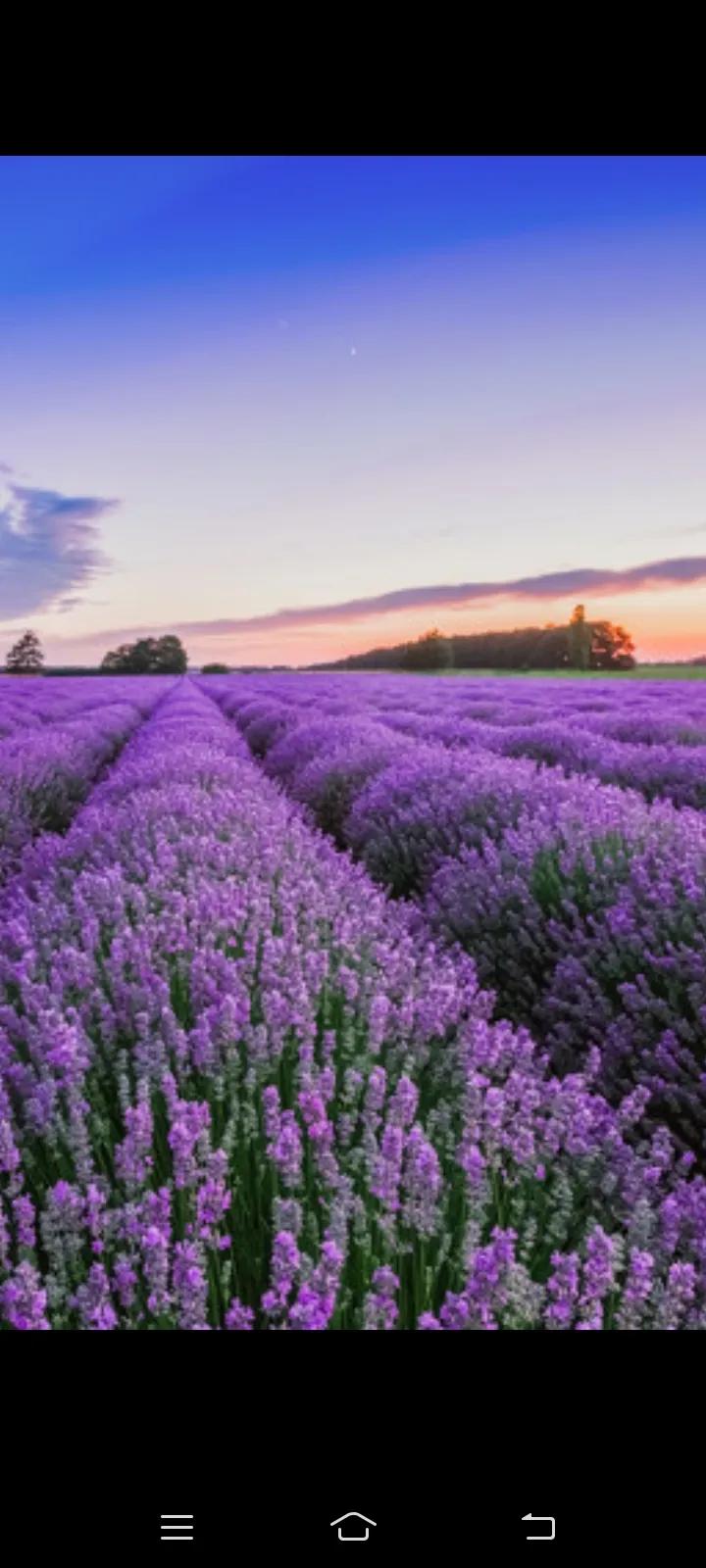 冬天的风夹着雪花原唱完整版,冬天的风歌曲