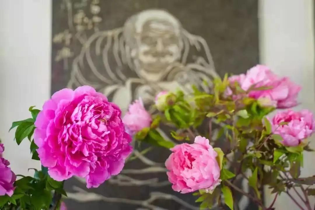 这个季节去哪里玩最合适昆明周边,昆明周边过年旅游推荐