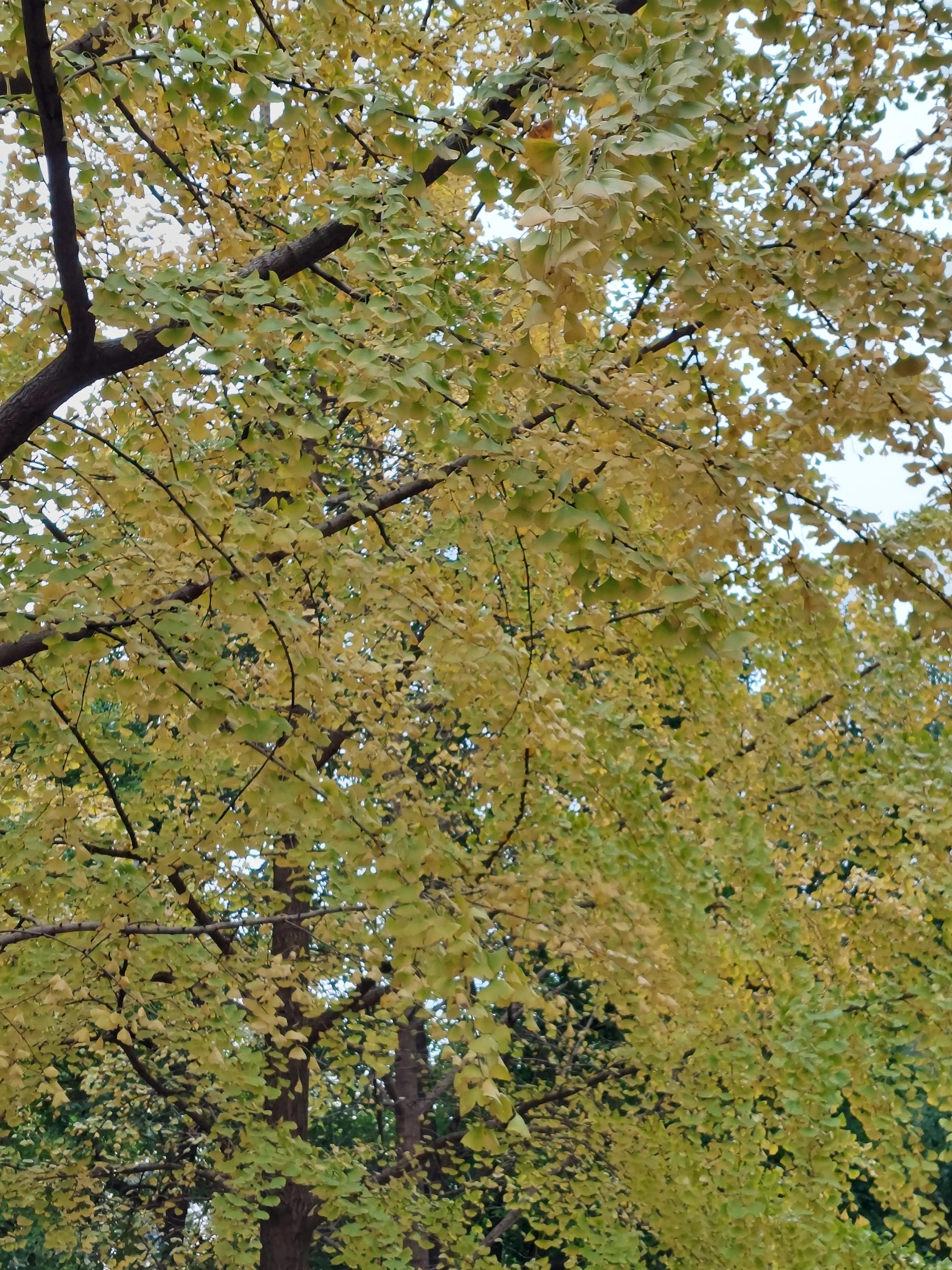 点球大战门将和主罚球员谁压力大,点球大赛门将互点