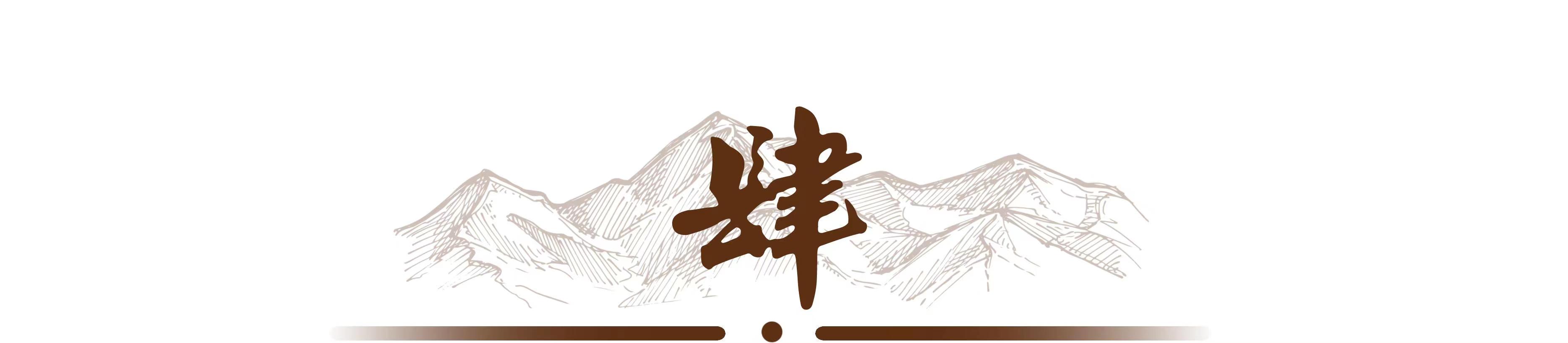 2009年湖南女子生下2斤重小猴子,湖南女子生了个小猴子上综艺节目