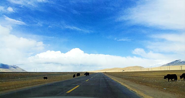 滇藏西自驾,西行滇藏自驾游