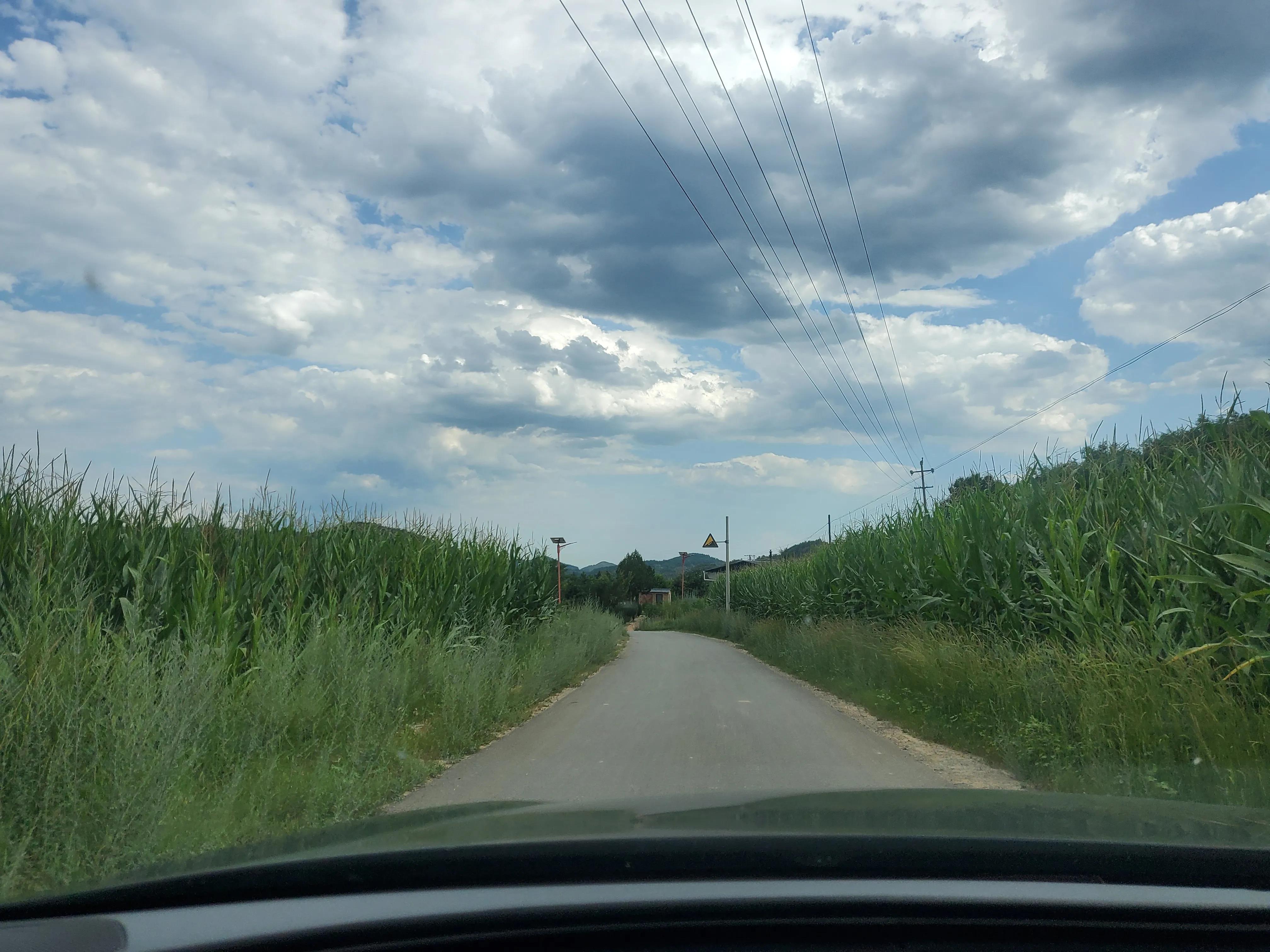 庄稼的风景视频,庄稼的风景