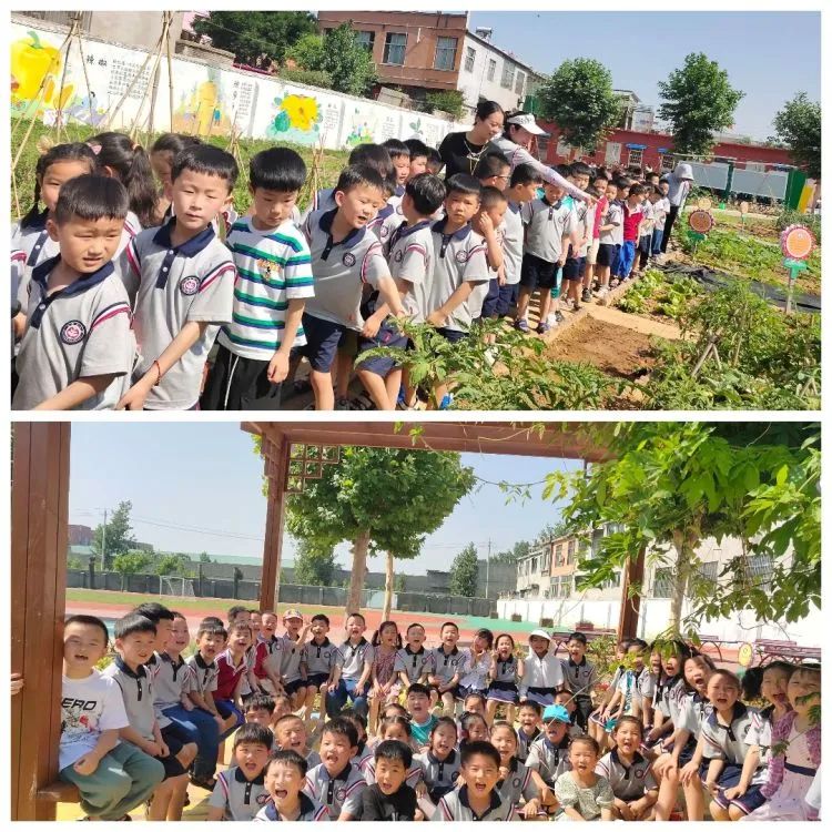 走进东小，幸福相伴——方圆幼儿园学生走进滕州市东沙河小学