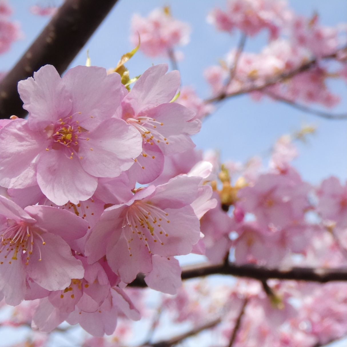快上车app官网,快上车在哪设置