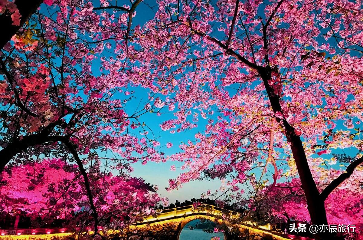 苏州周边旅游必去十大景点有哪些,苏州市区周边最好的旅游景点