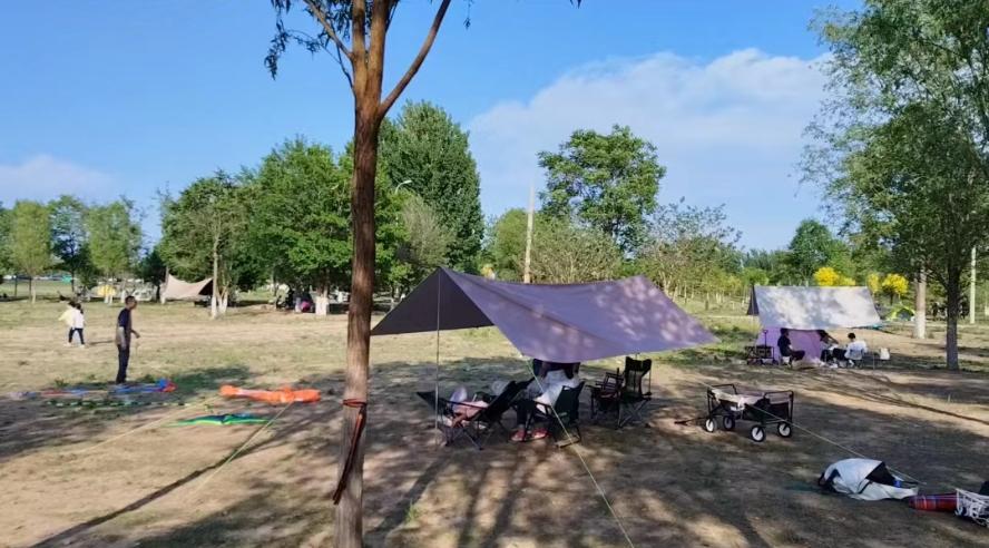 豆瓣9.6高分纪录片,月薪8万每天12小时纪录片