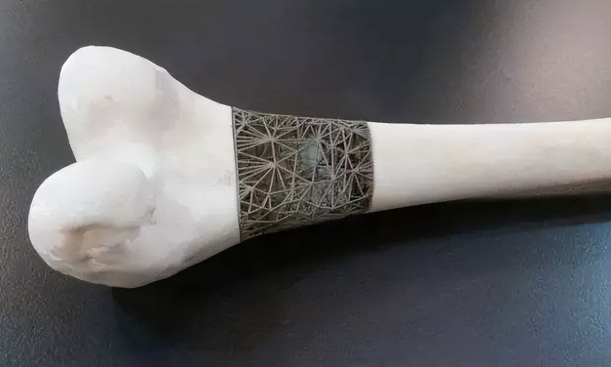 新型生物3d打印技术,生物3d打印技术介绍视频