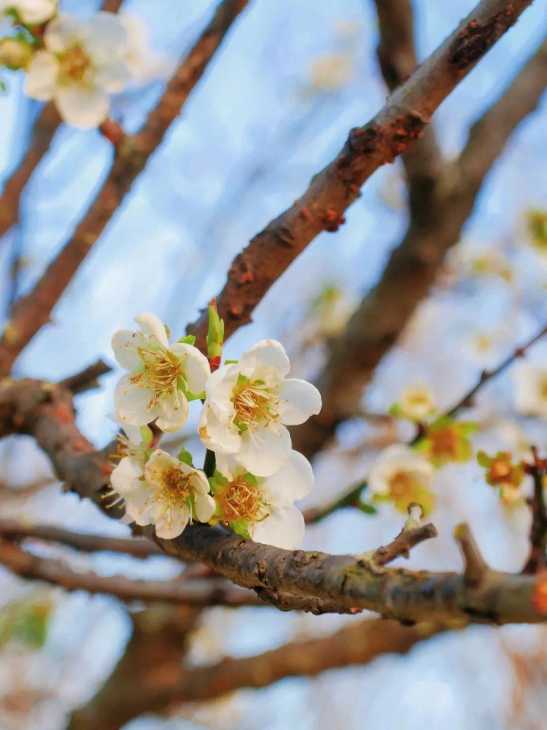 广州市47个免费游玩的地方,广州最适合一日游的57个免费景点