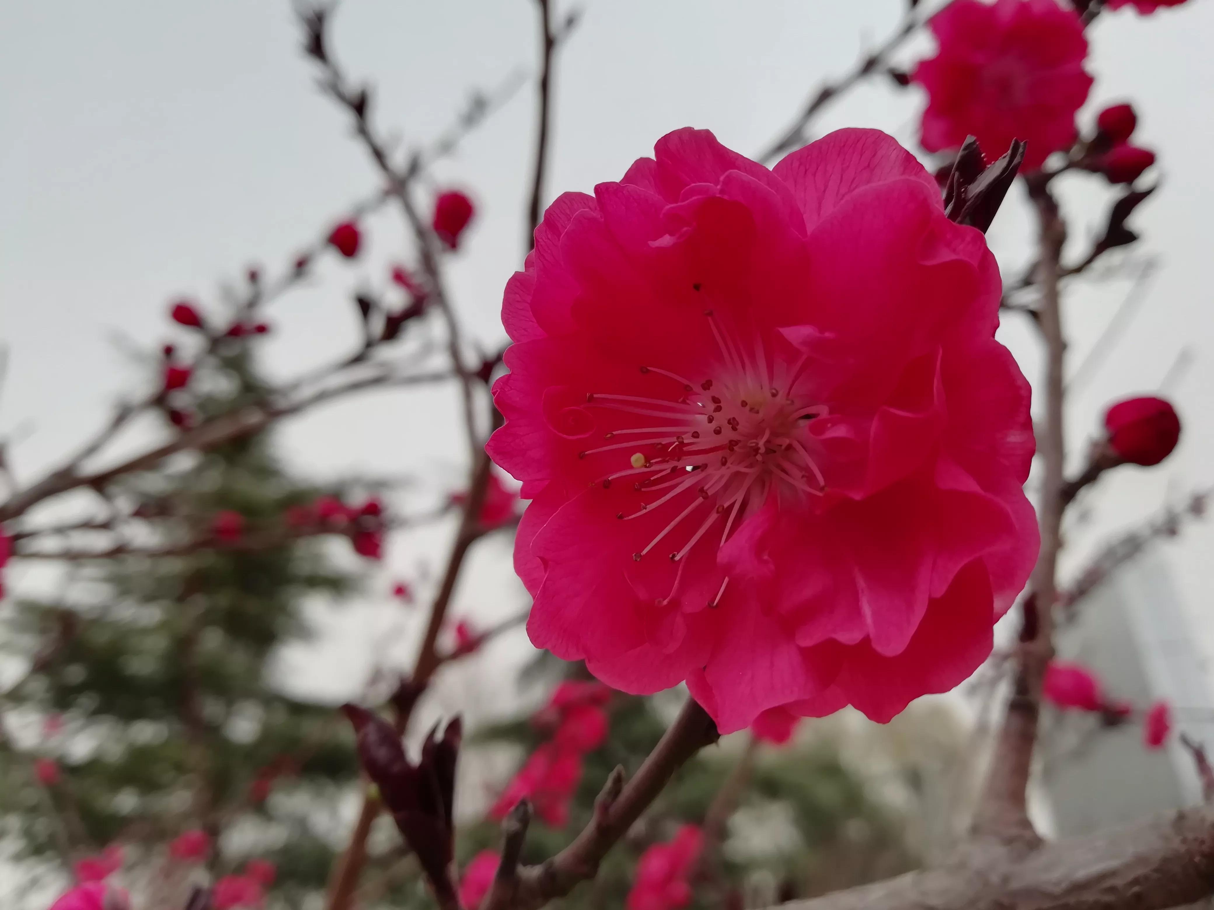 我的跑步经验（用者自取）