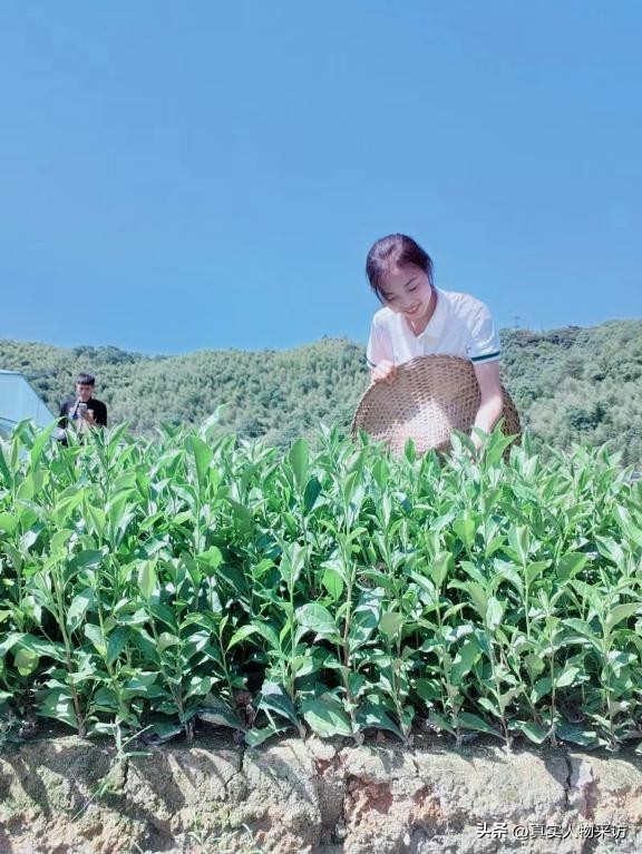 16岁学厨师能挣多少钱,技术学校学厨师可以赚多少