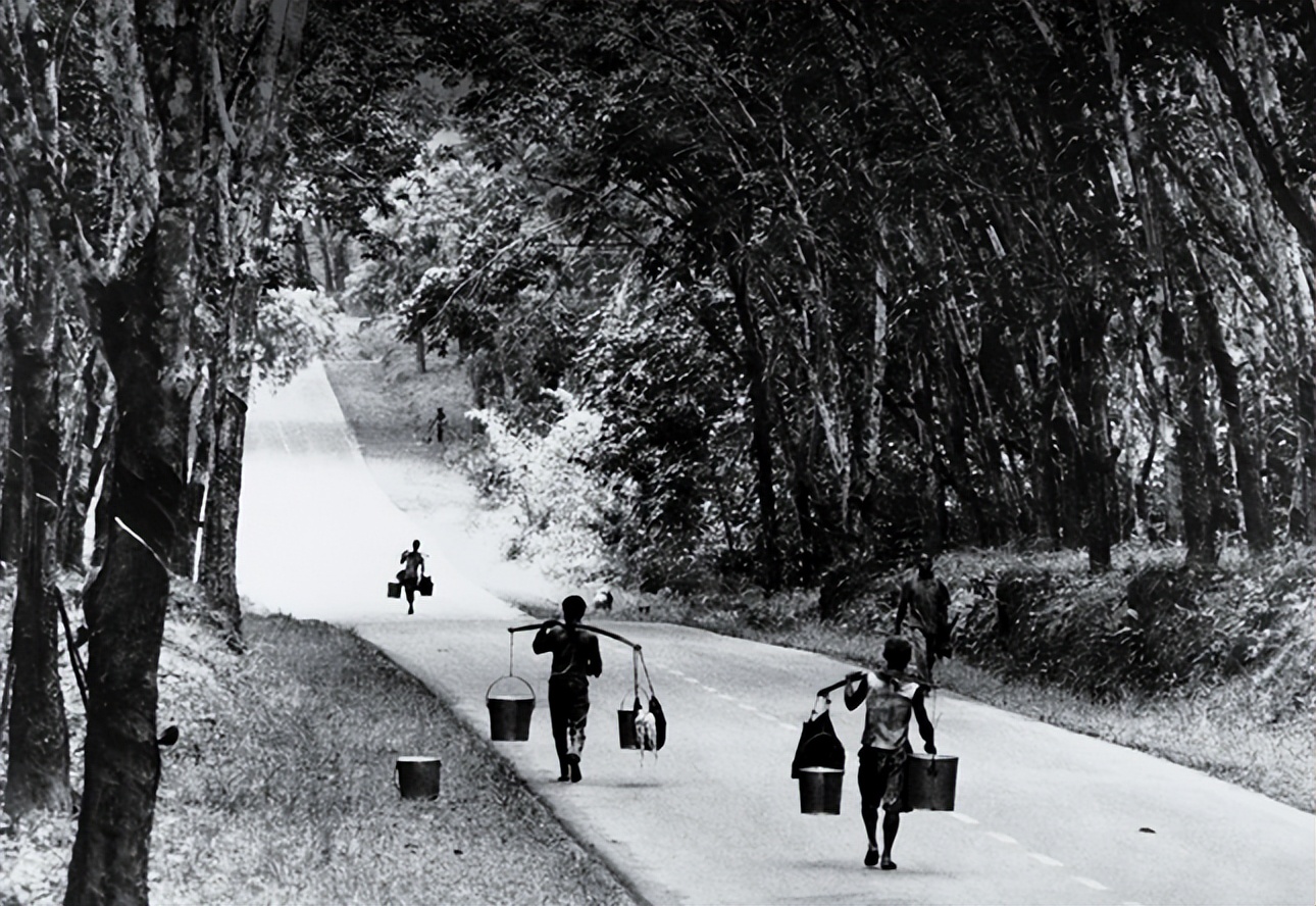 美国黑人重返非洲“故土”,带来了先进的种族歧视文化