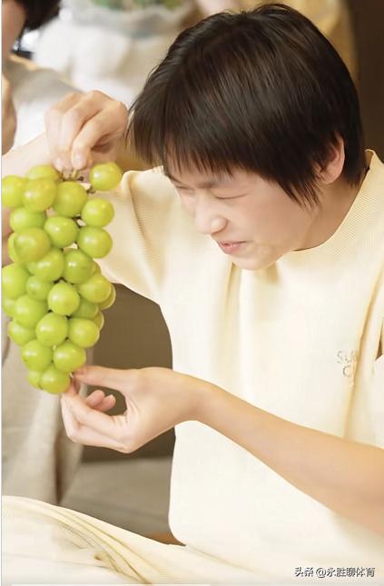 全红婵比赛跳水,全红婵跳水资料