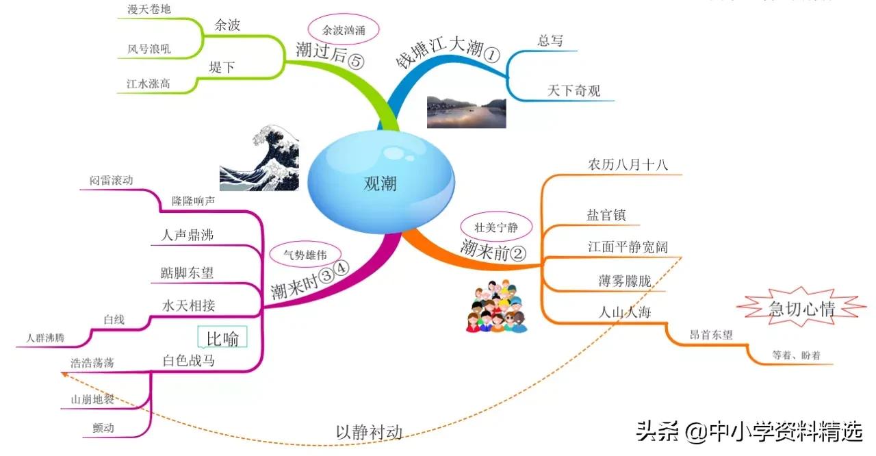 怎么画思维导图语文四年级上册,四年级思维导图语文简单漂亮上册